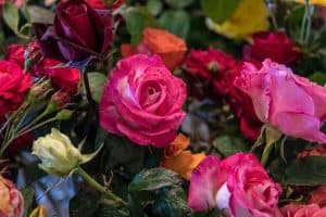 Rose Bouquet Flowers Color 